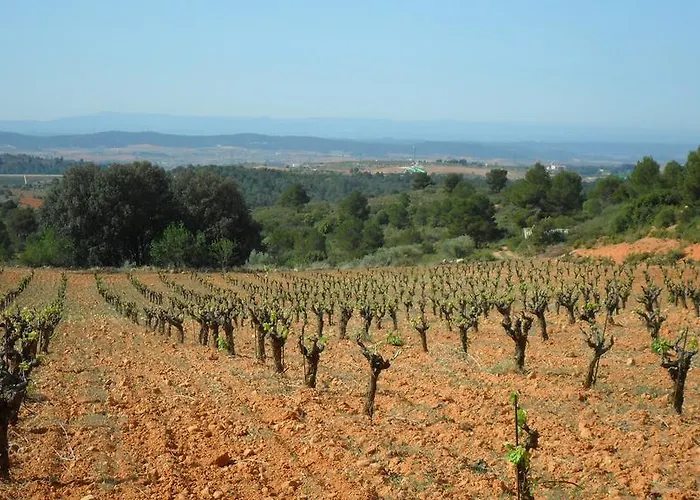 Εξοχικό σπίτι Casa Nueva